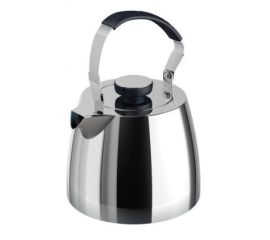 Чайники из нержавеющей стали