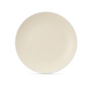 TDP535 Тарелка обеденная SCANDY MILK 24см